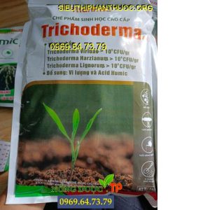 trichoderma thanh ha